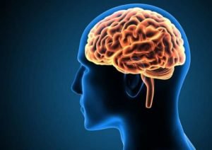 20-neuroscienti