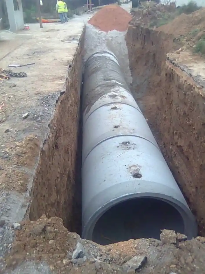 431637_101356449990590_546789255_n