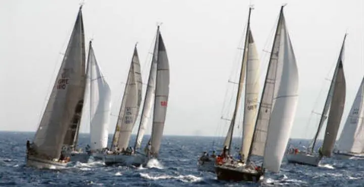 720_f36f49c645d5b4aa85b69d89141d2cec