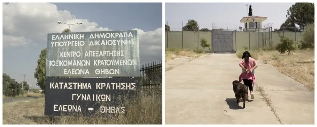 BeFunky-collage-3-1024x410