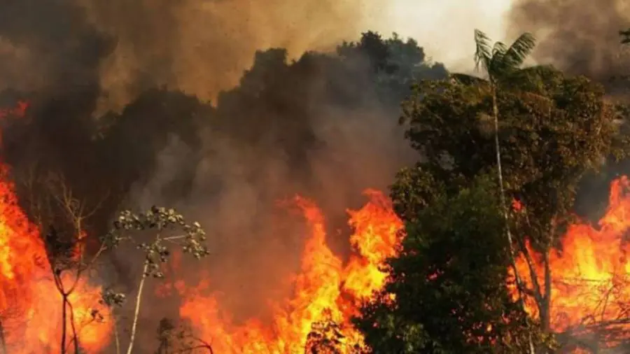 bb48efd9aedb5de9e1e8489871b273de_XL