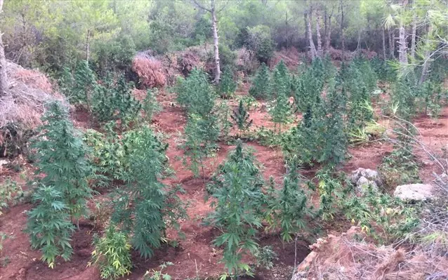 bilia-futeia-me-xasisodentra