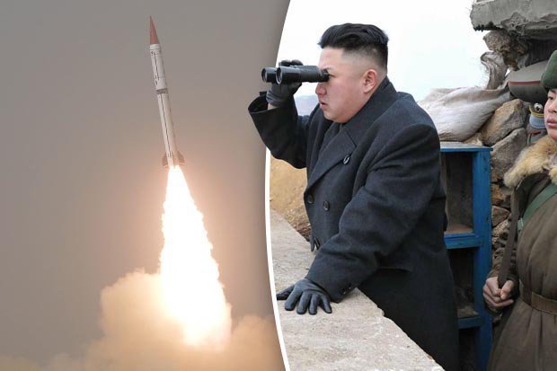 kim
