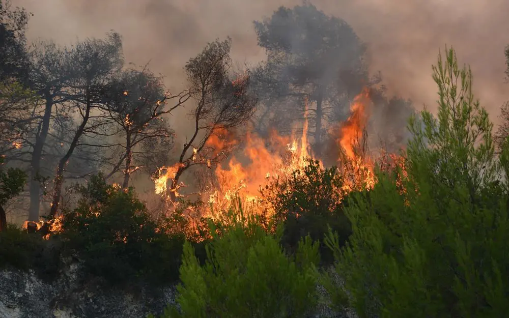 purkagia-fotia-zakunthos