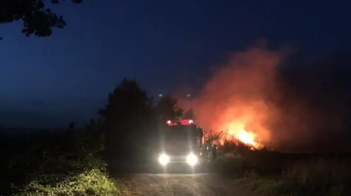 fwtia-vrady-1-1021x580-715x400