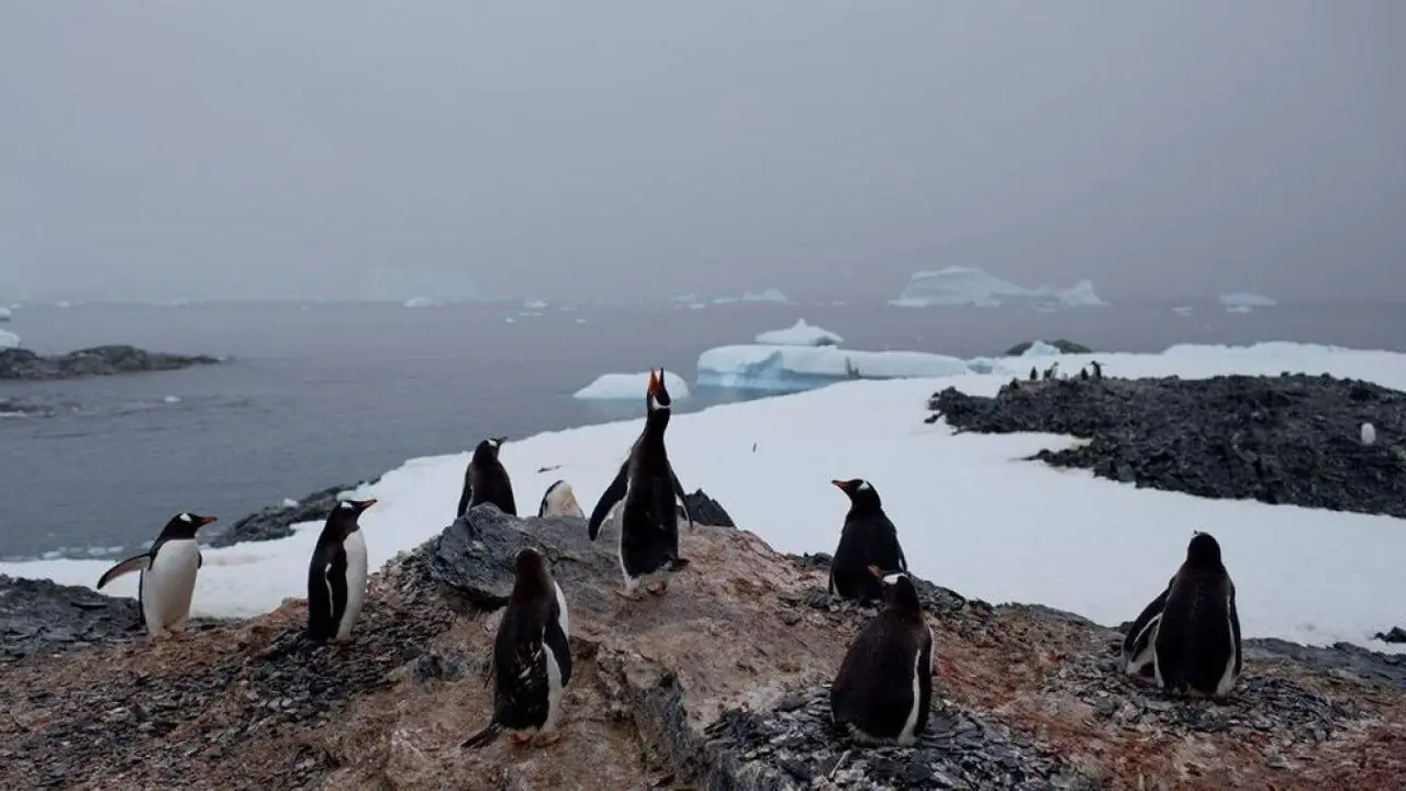 59e3560c1dc524e5028b4588