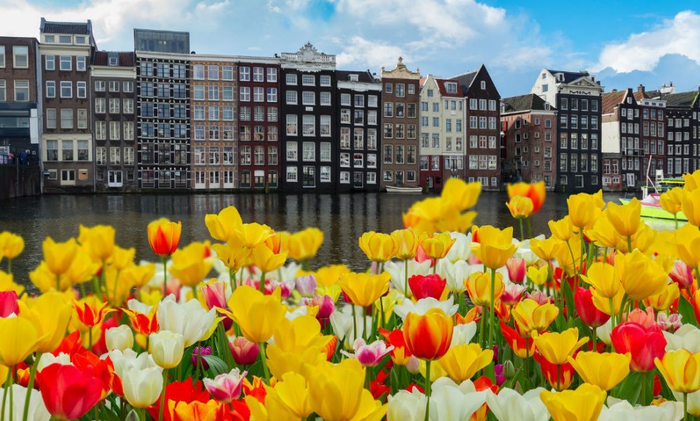 dutch-housing-market-another-tulip-mania