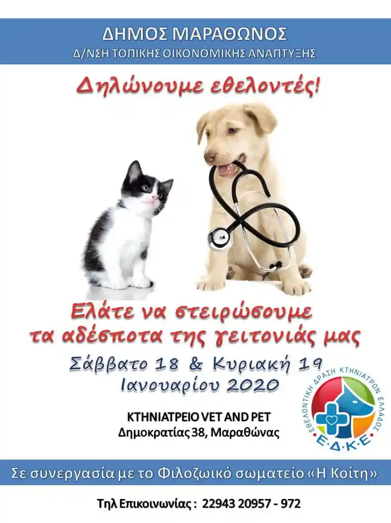 DIMOS-MARATHONOS_STEIROSEIS-ADESPOTON_AFISA