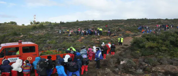 anadaswsi_kifissia-620x264