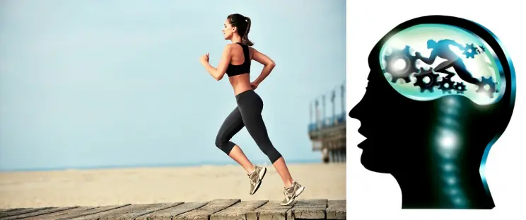 0970212f290bcb02ee7e6907701224be_XL