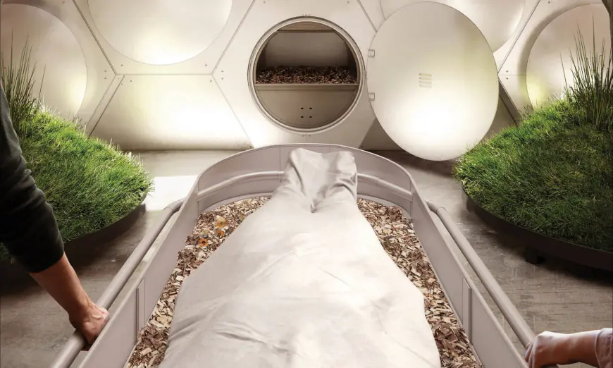 1599806_kompostopoiisi_nekron_tafi