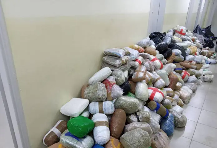 240220-pano-apo-793-kila-kannavis-entopistikan-se-fortigo-sti-nea-seleykeia-thesprotias