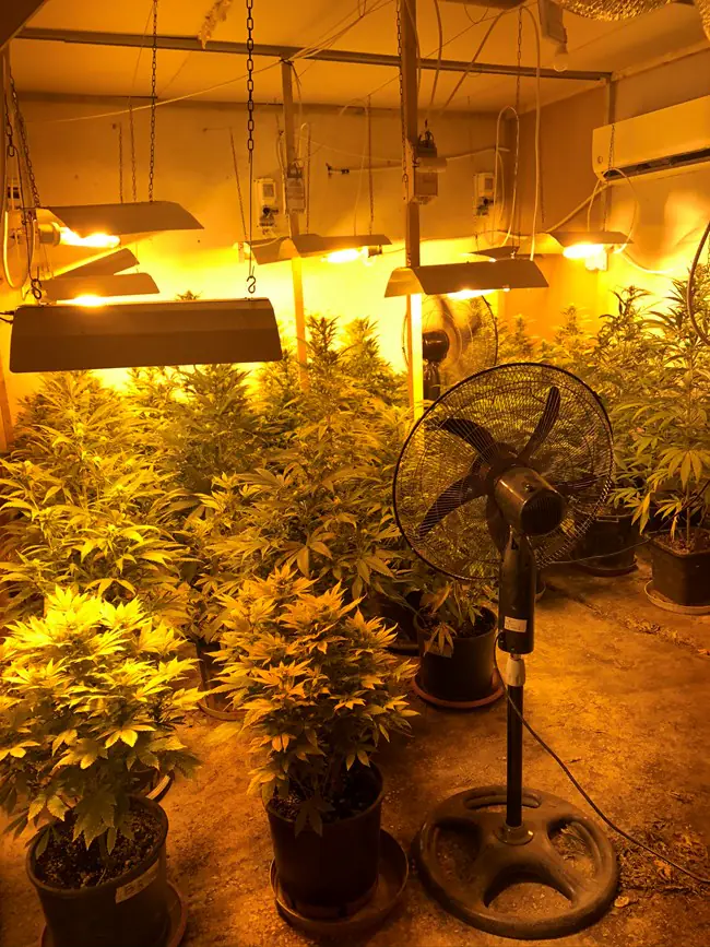 3cfac55ebd7745c3aa4696b8edc4efbb