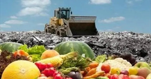 τρόφιμα_χωματερή_040315