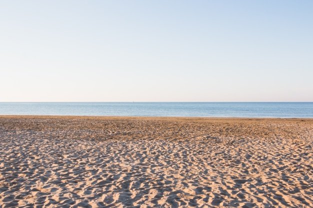 empty-beach-with-small-dunes_23-2147670181