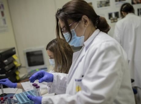 lab