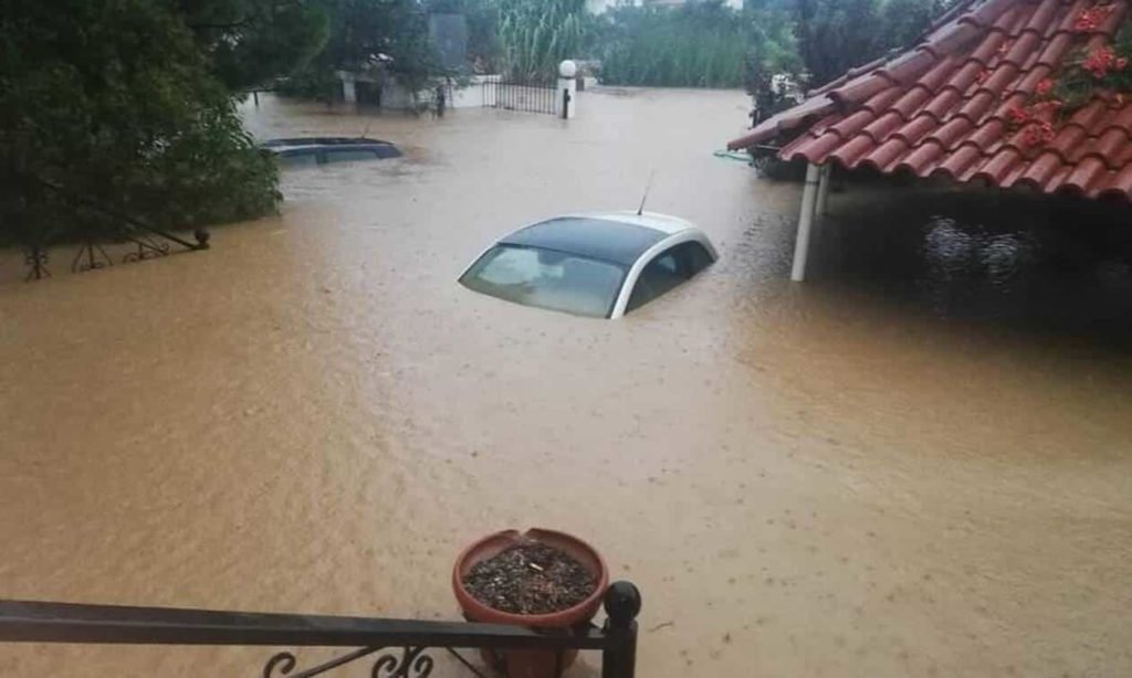 evia-plimires-min