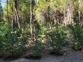 04092020gadafyteia001s