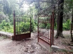 tatoi_24-min