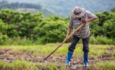 αγρότης worker agricol