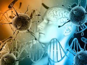 human body virys dna