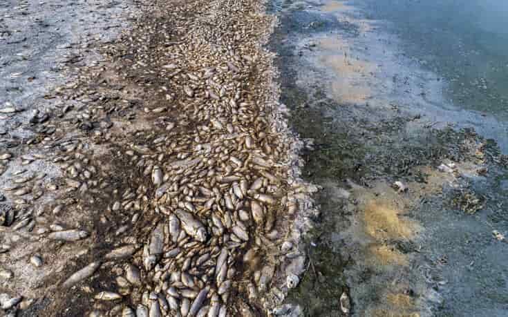 koronia limni κορωνεια λιμνη
