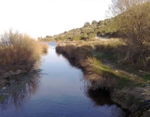 Erasinos_river-min