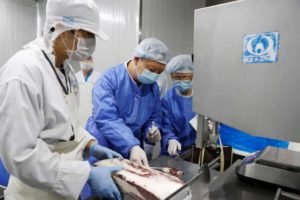 frozen-food-covid cina