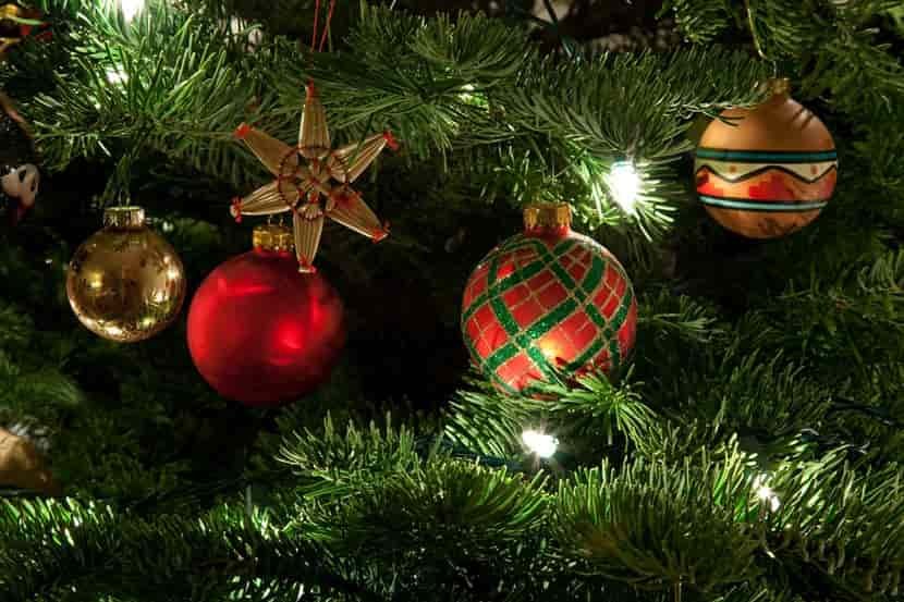 christmastree-min