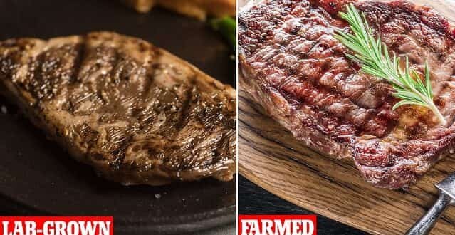 Rib-eye- mprizola