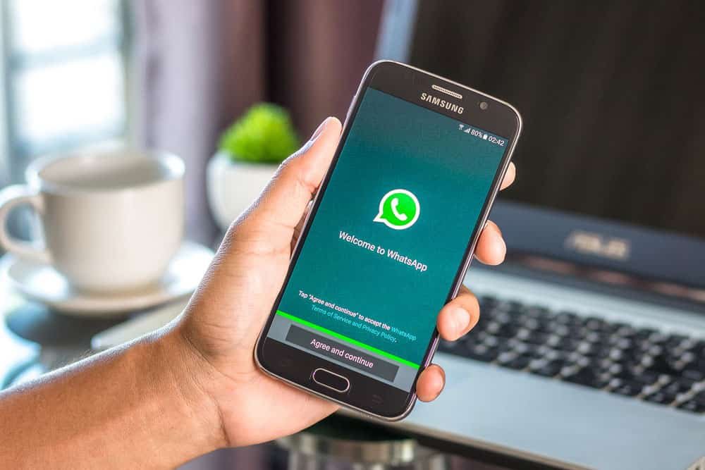 whatsapp-1-min
