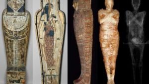 egypt mummy mummia