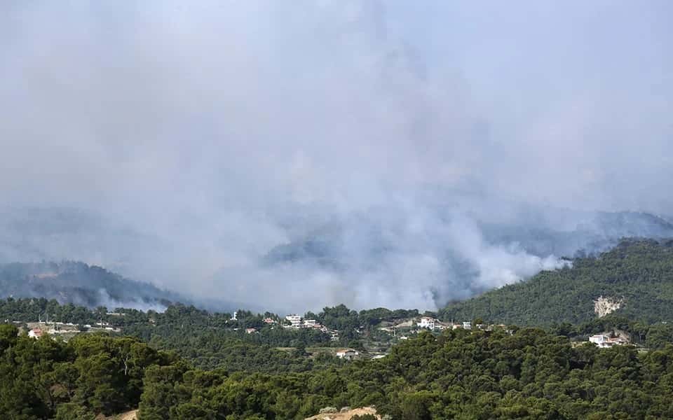 fotia , shinos ΣΧΙΝΟΣ_ΑΛΕΠΟΧΩΡΙ_7-min