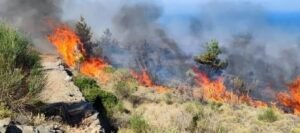 xios3-min fire fotia