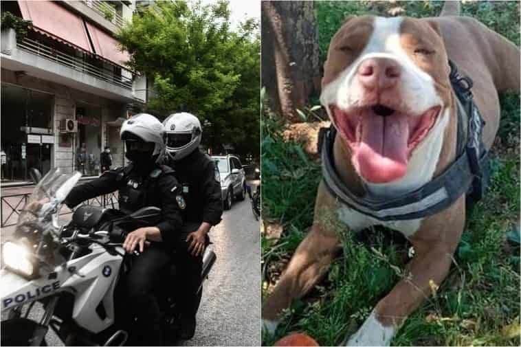 Γαλάτσι: Δίωξη σε βαθμό κακουργήματος στον αστυνομικό που σκότωσε το πίτμπουλ