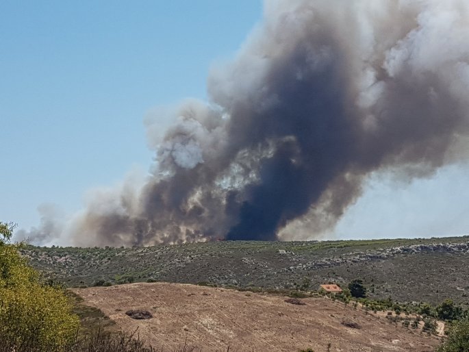 fotia fire pyrkagai