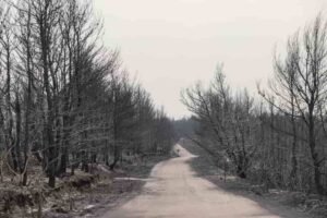 kamena-min pyrkagia