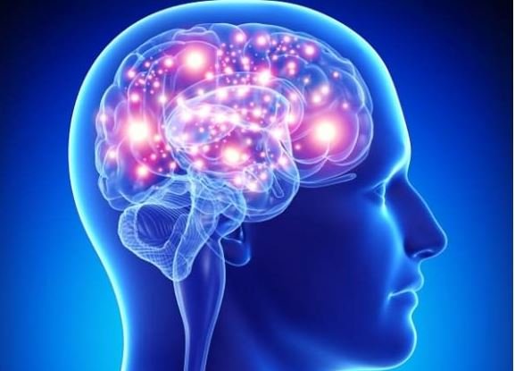 brain head memory