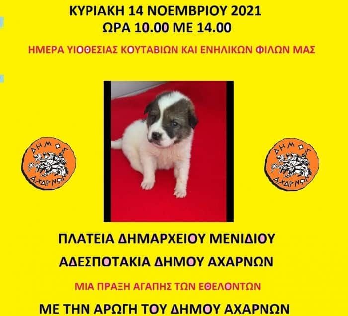 2b2e46cda04222dc1d50cebf3984e40e_L-min