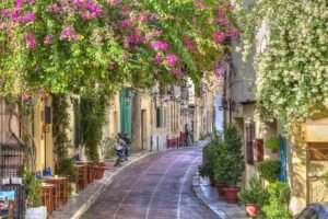 πλακα plaka