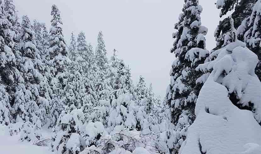 snow_parnassos xioni hioni