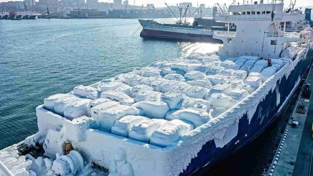 Frozen-Ship (2)-min