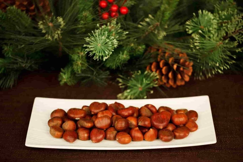 marron kastano castano