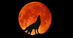 Wolf-Moon-2020-min