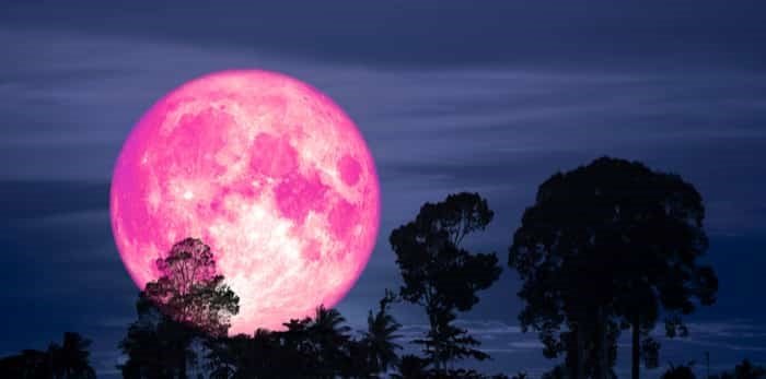 pink-moon