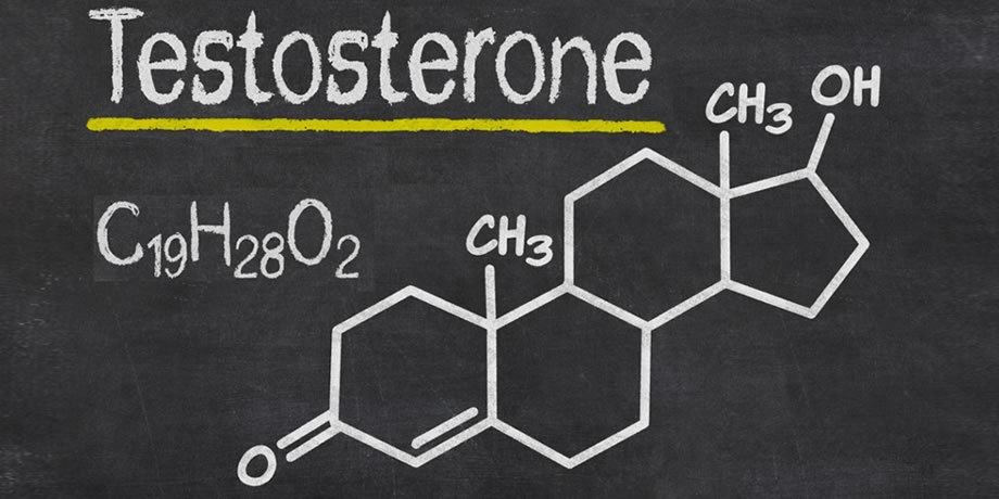 testosterone