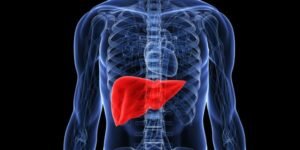 1-liver-1