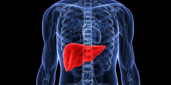 1-liver-1