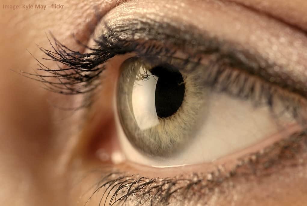 EYE