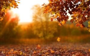 fthinoporo autumn